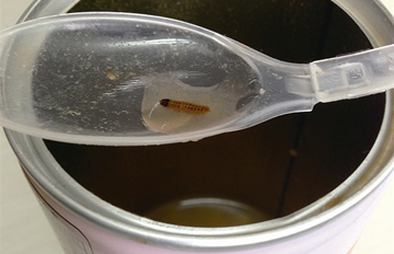 �޹����˱���Գ������� ��Ӧ�̳ƺ�����