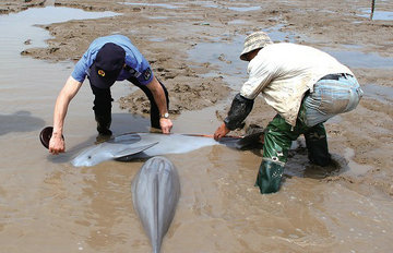 ��ͷ��������ǳ̲ ���Ľ����ػش�