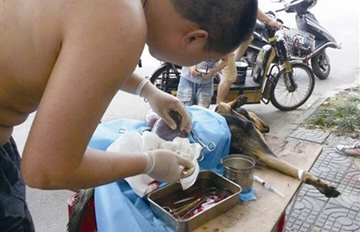 ���˹���ͷ�Ѳ� ��������׷װ�æ