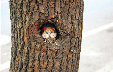 ���ݽ�ͷͿѻ����Ϳѻ