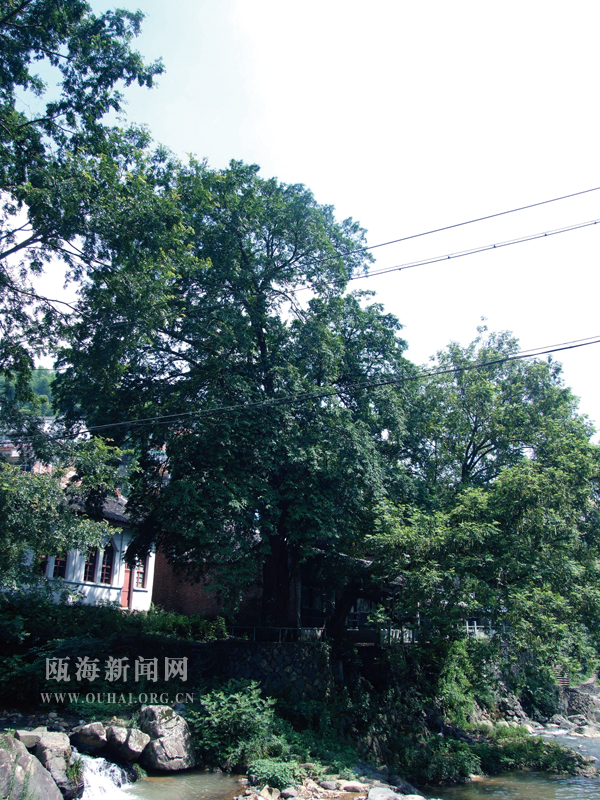 庐山巨人像图片
