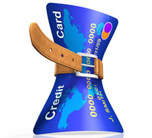 【专题】温州市民银行信用卡使用情况调查