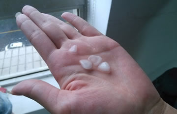 ���ǰ�����ҹ �����������������Ѵ�ı���