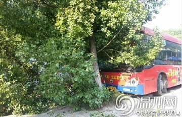 301����ײ�� ���ѳ����������ǡ��񼶴��ڡ�