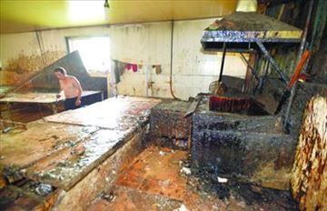 青岛小作坊用过期猪头加工肉食