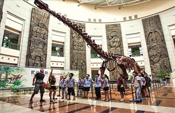 ��ʡ��ģ������չ�������ݲ����