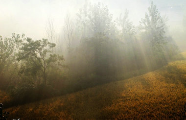 Ħ���ϵ����еڶ��죺�����Ա� ��粻��