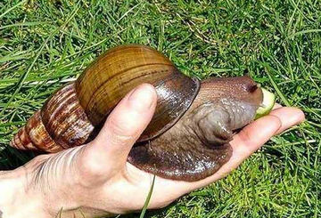 �н��ַ��޴���ţ ���ҹ��ϵ��԰ɱ��