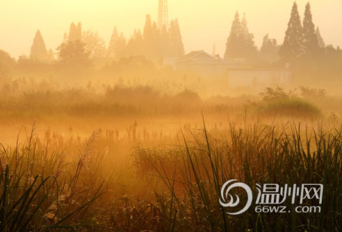 ��ţ��ԭ���мǣ����չ���������Ŷ��±�