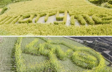 �����Ͳ˻�֮�� ��鵾��������