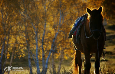 Ħ�г��ϵ����е�5�죺�ɹ��ִ�������ͳ