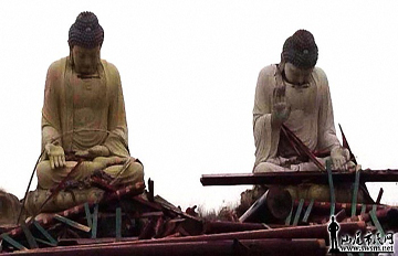 �㶫���̨�����ô���ͷ ���������ǧ��