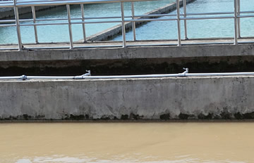 ɺϪˮ�����ˮ �����ʣ�����ˮ�ɾ���