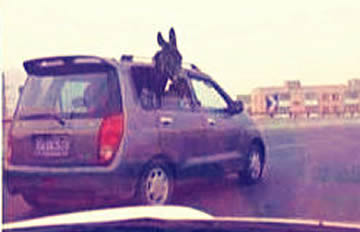 ë¿��˽�ҳ���· ¿ͷ̽�����ھ���·��