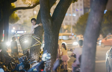 ����4���к������׷�������������