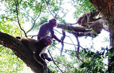 �ĳ��и������� ����һ��ٺ����