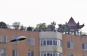 20�����Υ���������� ��Ҳ��һ��¥����԰