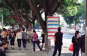 ����ҽվ�ƺͺ�ͤ�ַ��� �ȳ������˲���