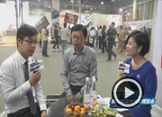 ר�ã�JEEP������������