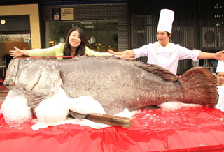 700斤重石斑鱼现身广东一饭店