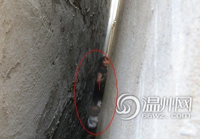 걱�һ��롰�ܺ��ӡ���ǽ�챻��