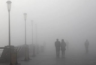 网友吐槽上海大雾:一打开窗帘我以为我瞎了