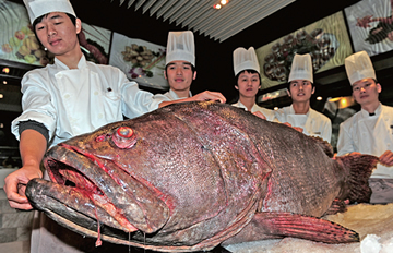 ����ʯ��������238���� Ҫ��������̧����