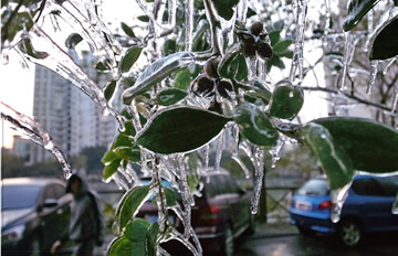 �����������µ���0�� ũ����ˮ��ͷ��ˮ�ɱ�