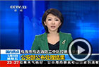 消防队打新兵处理结果