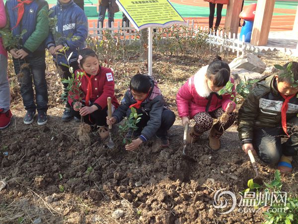 乡村学校特色化办学教学 推行阳光教育
