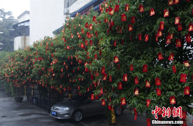 桂林土豪春节挂万只红包 无人摘取 
