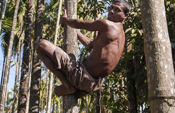 印度男子长37厘米“尾巴”被奉为“猴神”