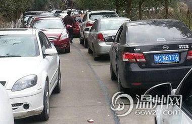 市民蜂拥去梅岙看梅花致路阻 景区排长龙
