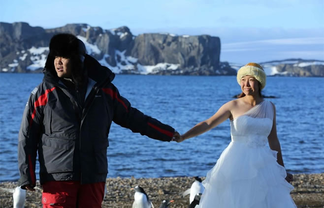 北京一对情侣在地球北极求婚南极结婚