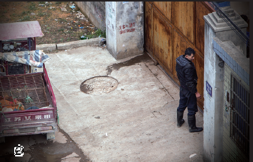 瓯海一家厂房变身活禽交易市场 每天交易量万