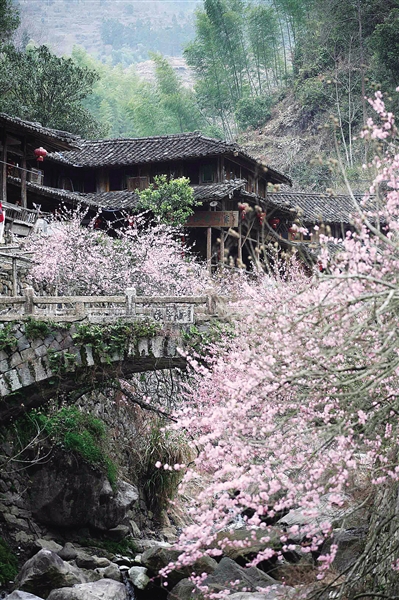 1846197_722360.jpg-图片版权归原作者所有