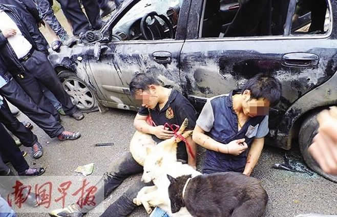 组图：广西偷狗贼被抓现行 被逼抱3条死狗示众
