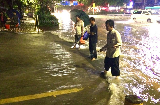 深圳遭遇08年来最大暴雨 市民当街捉鱼