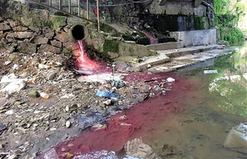 ����ͣ��С������͵͵���� �������������˼ 