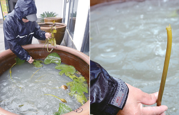 ����������С�ɲ�¶���� ȴ��Ƶ������ͷ