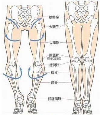 线索五:罗圈腿