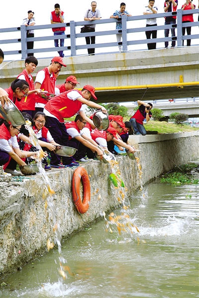 行增殖放流活动 修复河流生态环境以鱼养水_图