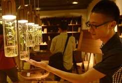 ���Ѹ������֮��