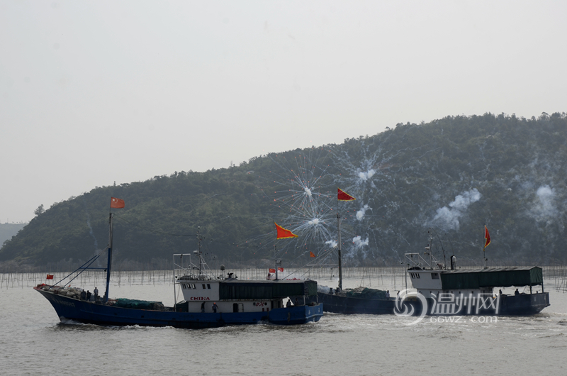 苍南800渔船出海进行虾皮捕捞作业