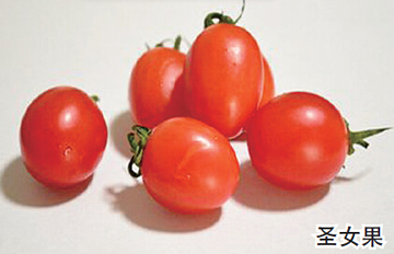 ʥŮ������С�ƹ��ǡ�ת���򡱣�ר�ң�������