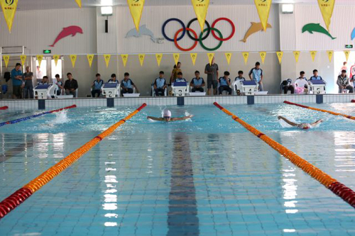 浙江省金海豚全民健身游泳锻炼达标活动在乐