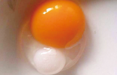 ���������ˣ���ô�����е���