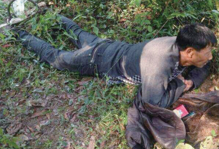 ����һ������ɽ���� ��Ұ���м�ס