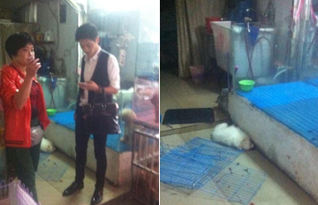 �۸�̸��£������ ���ӳ�����ڽ������ˤ��