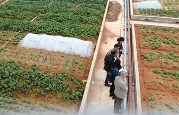 �����ݶ��в�԰�����й�԰ �ճɹ�Ա��ʳ��